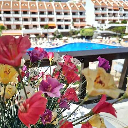 Parque Santiago 1, 348, Tenerife Dream Appartement Playa de las Américas